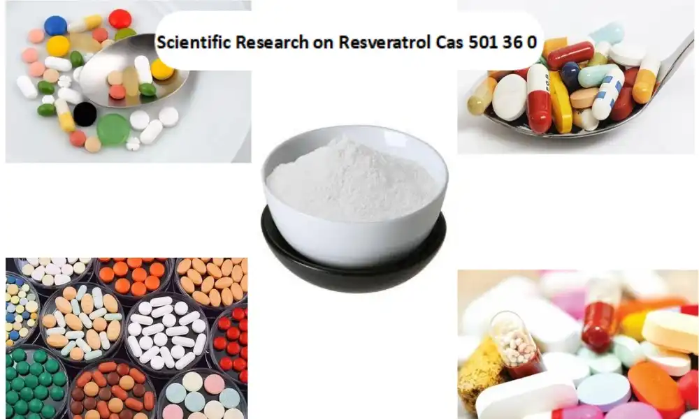 Scientific Research on Resveratrol Cas 501 36 0
